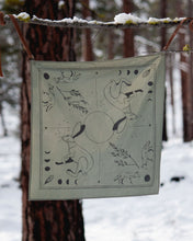 Load image into Gallery viewer, The Hare and The Coyote V1