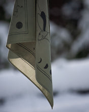 Load image into Gallery viewer, The Hare and The Coyote V1